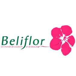 BELIFLOR logo